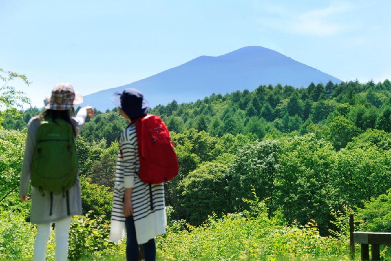 Ana Holiday Inn Resort Karuizawa By Ihg Kita-karuisawa Εξωτερικό φωτογραφία