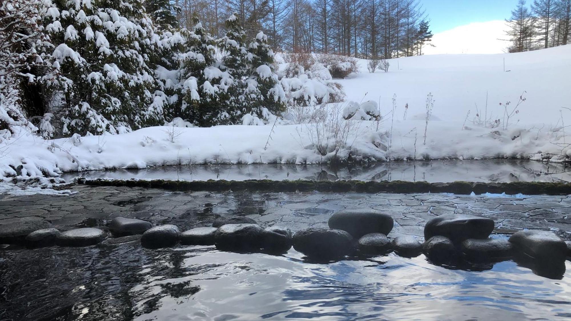 Ana Holiday Inn Resort Karuizawa By Ihg Kita-karuisawa Εξωτερικό φωτογραφία